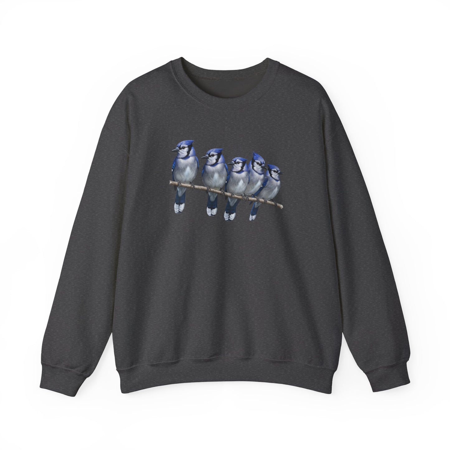Blue Jays Sweatshirt | Bird Watcher Crewneck | Unisex Songbird Gift for Bird Lovers