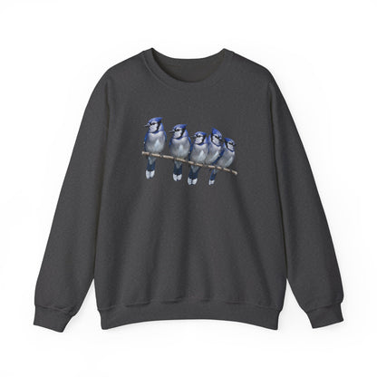 Blue Jays Sweatshirt | Bird Watcher Crewneck | Unisex Songbird Gift for Bird Lovers