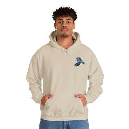 Blue Jay Birding Birdwatching Bird Hoodie