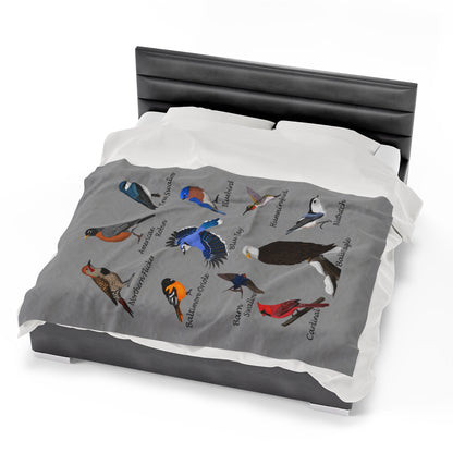 Blue Jay Cardinal Robin Bluebird Hummingbird Backyard Birds Velveteen Plush Blanket Grey