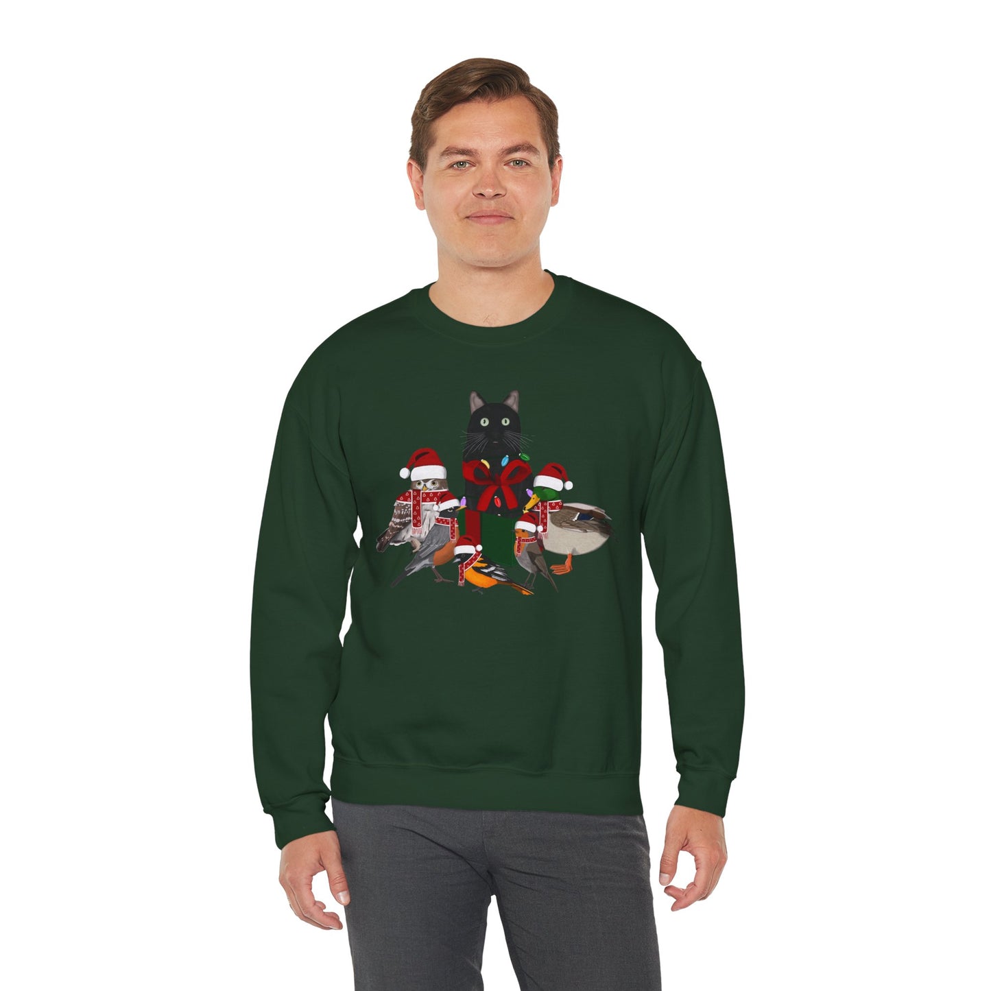 Robin Mallard Oriole Owl with Cat in a Box and Fairy Lights Birdwatcher Christmas Bird Sweatshirt