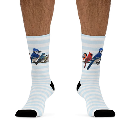 Garden Birds Blue Jay Cardinal Bullfinch Stripes Blue White Birding & Birdwatching Bird Socks