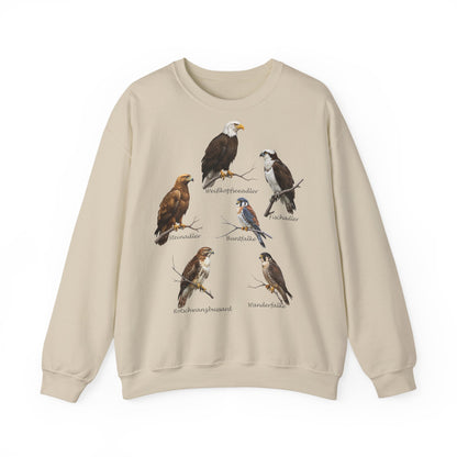 Sweatshirt mit Greifvögeln: Adler, Falke & Co. | Vogelkunde & Outdoor
