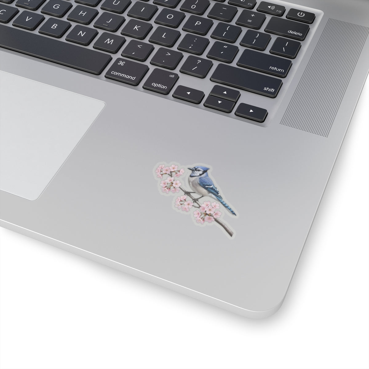 Blue Jay Cherry Blossom Sticker | Glossy Floral Bird Decal Spring Laptop – Stickers