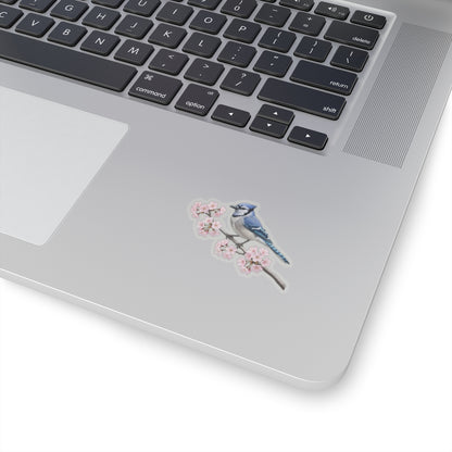 Blue Jay Cherry Blossom Sticker | Glossy Floral Bird Decal Spring Laptop – Stickers
