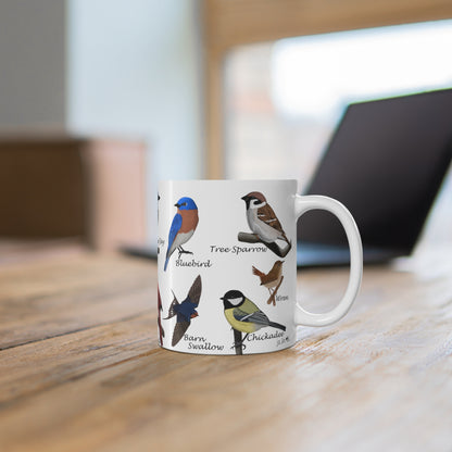 Garden Birds Blue Jay Cardinal Oriole Ceramic Mug 11oz - jz.birds