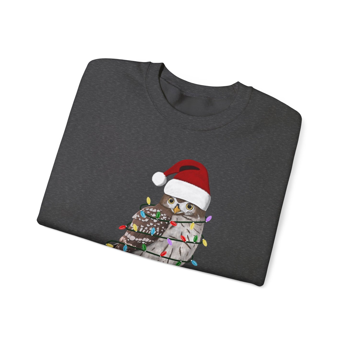 Owl with Fairy Lights Santa Claus Christmas Bird Sweatshirt