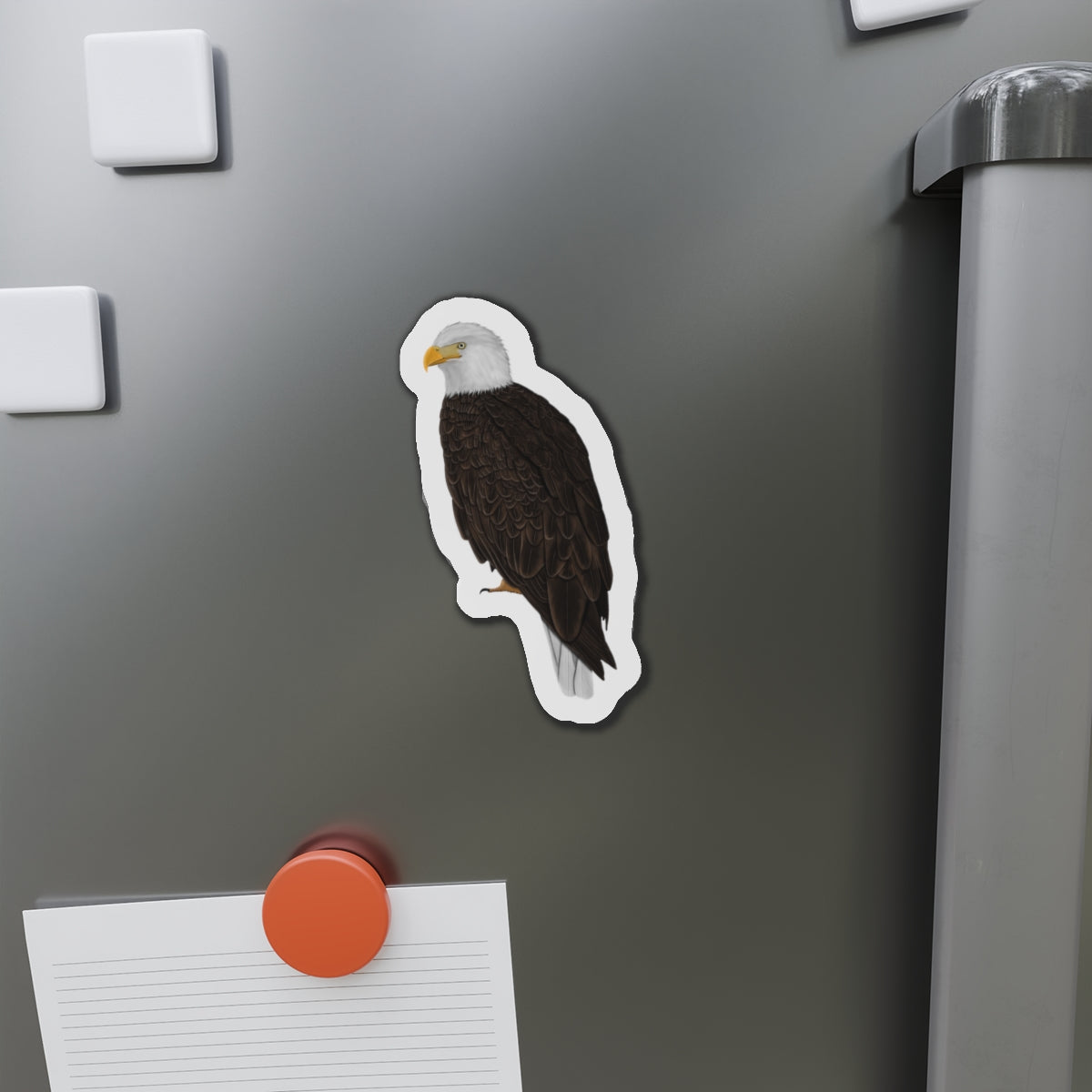 Bald Eagle Bird Magnet