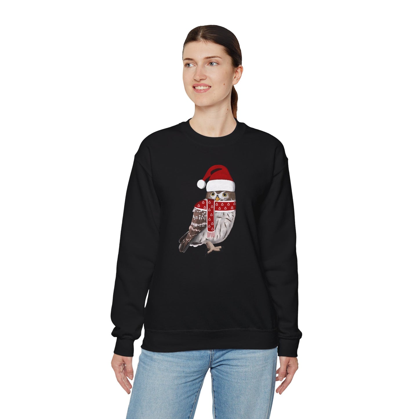 Owl with Christmas Hat Bird Birdwatcher Sweatshirt