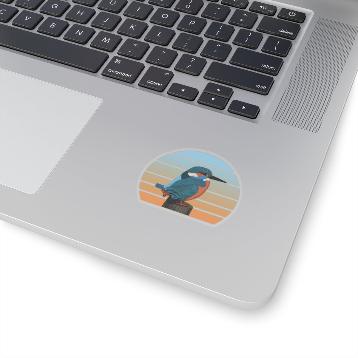 Kingfisher Bird Sticker