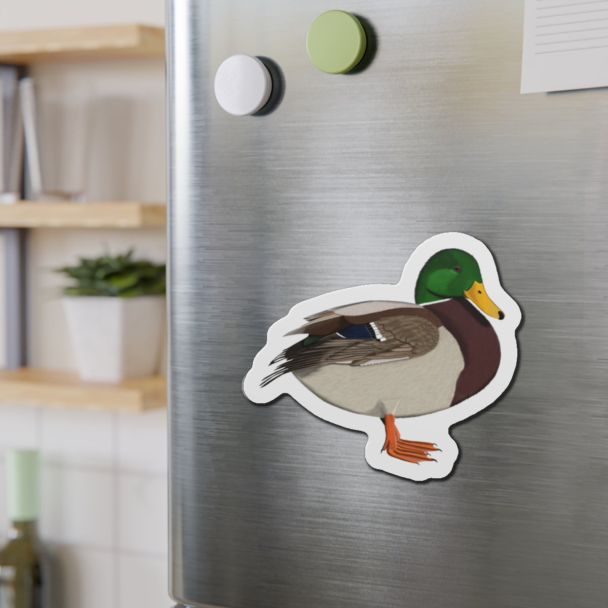 Mallard Bird Magnet