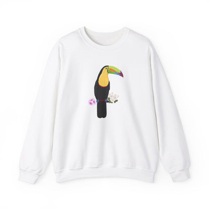 Keel-Billed Toucan Birdlover Ornithologist Bird Sweatshirt