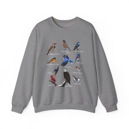 Blue Jay Cardinal Oriole Robin Hummingbird Birding & Birdwatching Bird Sweatshirt