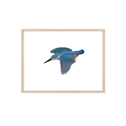 Vogel Poster im Holzrahmen - Eisvogel Poster Singvogel Weiß