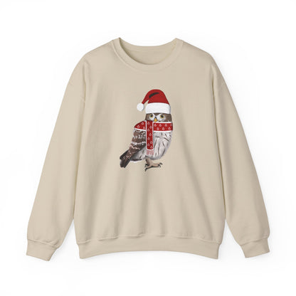 Owl with Christmas Hat Bird Birdwatcher Sweatshirt