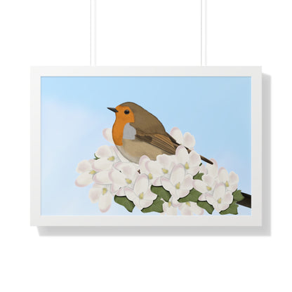 Robin Spring Blossoms Bird Framed Poster