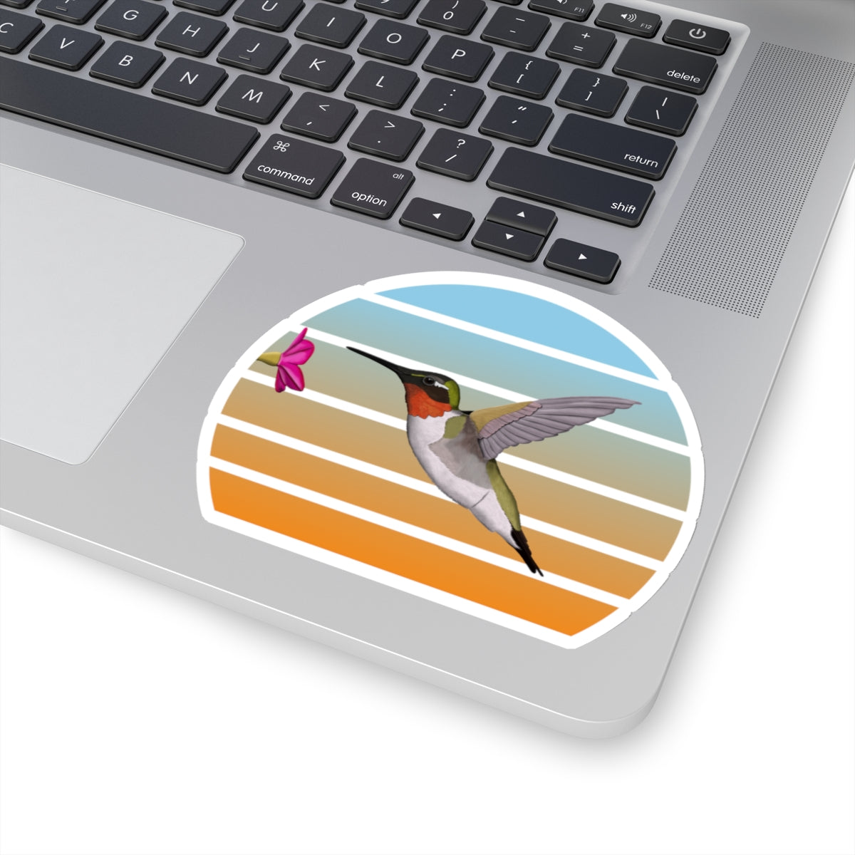 Hummingbird Bird Sticker