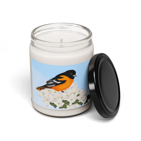 Baltimore Oriole Bird Art Scented Soy Candle, 9oz