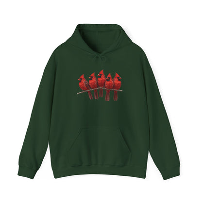 Cardinals Hoodie Bird Lover & Bird Watcher | Unisex Sweater | Gift for Bird Lovers