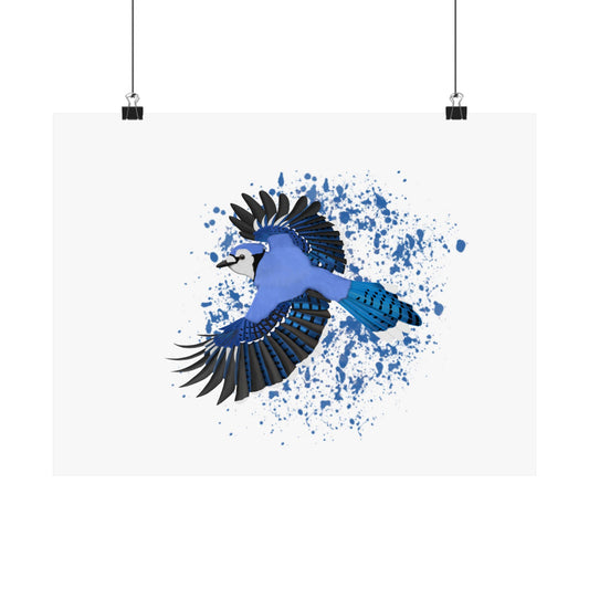 Blue Jay Bird Artwork Matte Poster