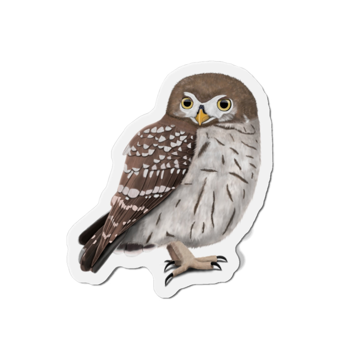 Little Owl Bird Magnet