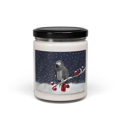 Grey Parrot on a Winter Branch Christmas Bird Art Scented Soy Candle, 9oz