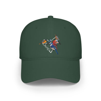 Blue Jay Cardinal Robin Oriole Cap Heart | Birdwatching & Birdlover Backyard Bird Hat