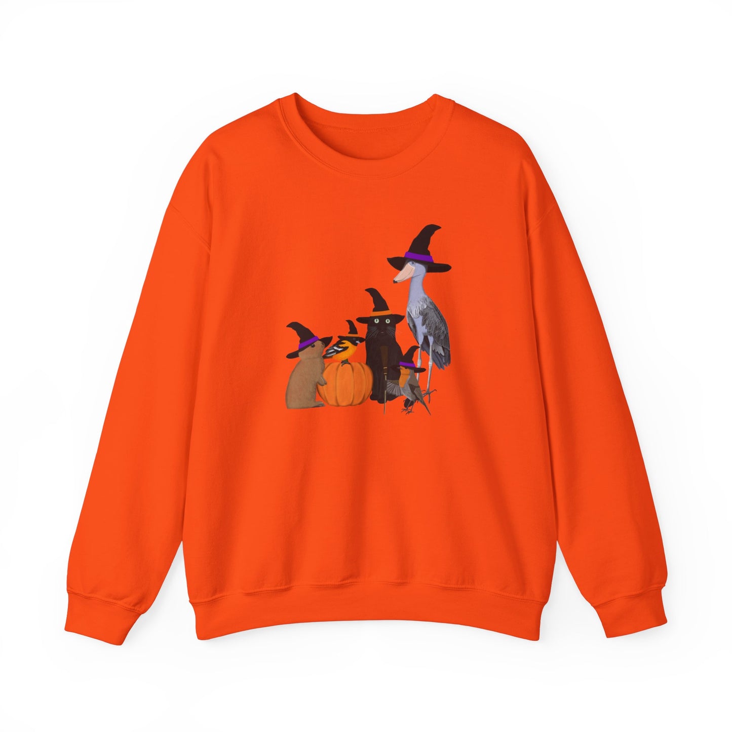 Robin Shoebill Oriole Rabbit with Cat Halloween Birds Sweatshirt