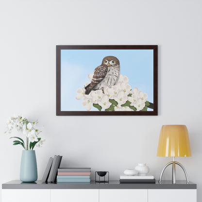 Little Owl Spring Blossoms Bird Framed Poster