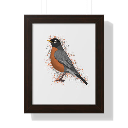 Robin Bird Framed Poster