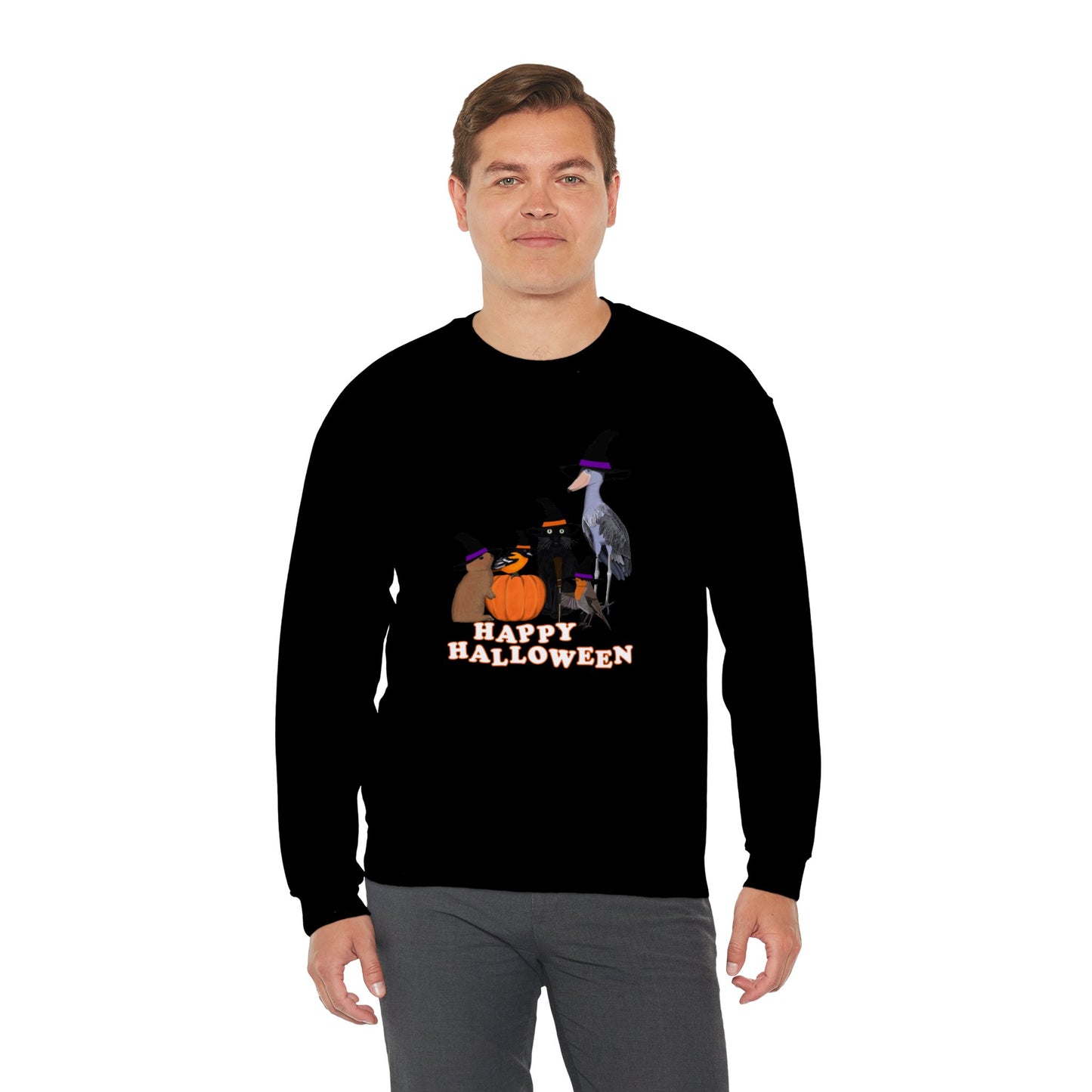 Robin Shoebill Oriole Rabbit with Cat Happy Halloween Birds Sweatshirt