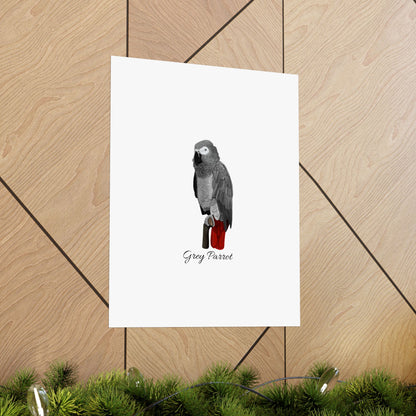 Grey Parrot Bird Birding Matte Poster