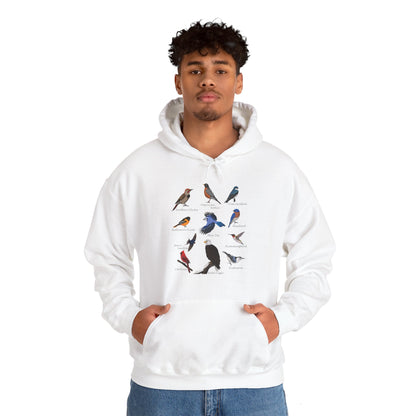 Blue Jay Cardinal Hummingbird Bald Eagle Robin Bird Hoodie