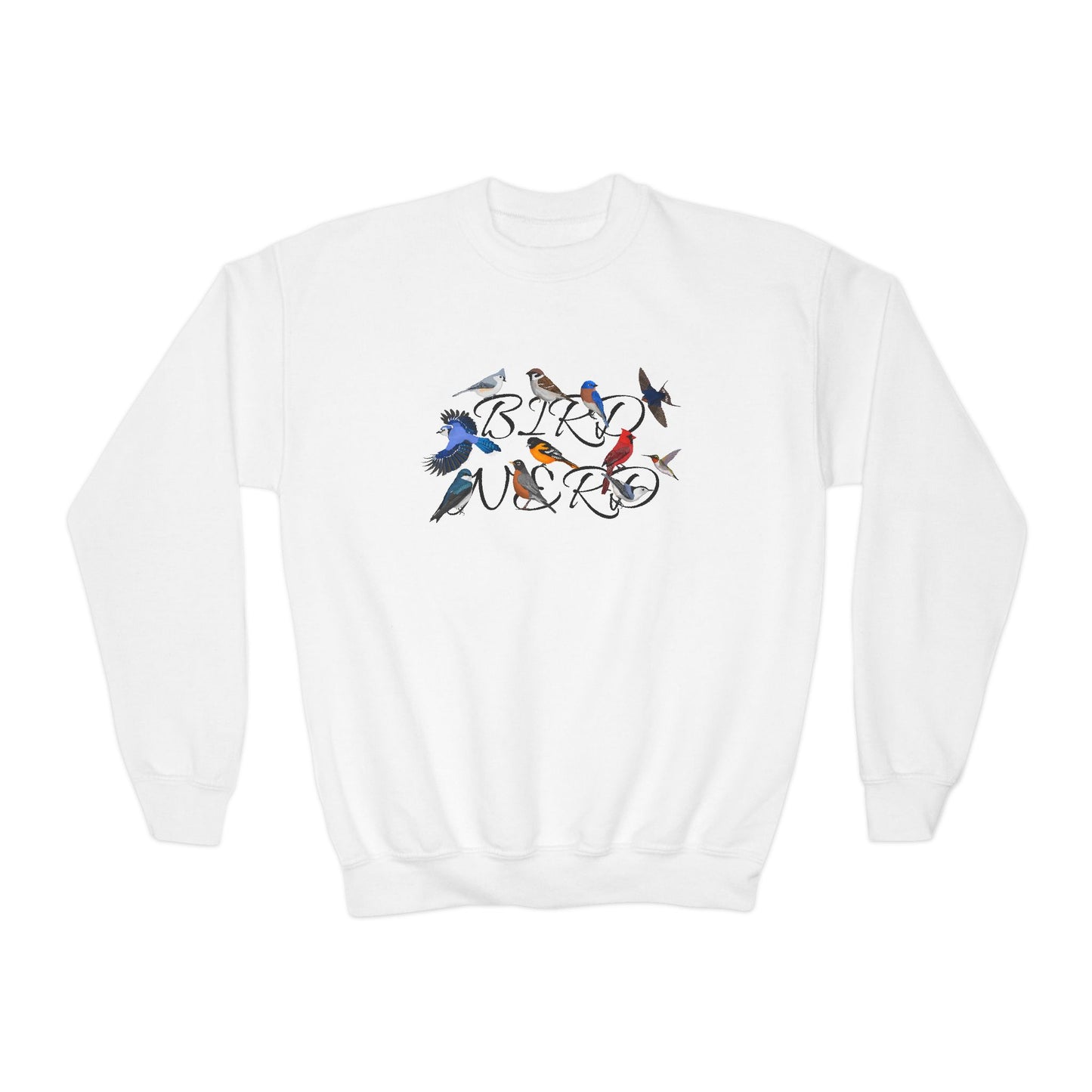 Bird Nerd Blue Jay Oriole Robin Barn Swallow Nuthatch Bird Birdwatching Youth Crewneck Sweatshirt