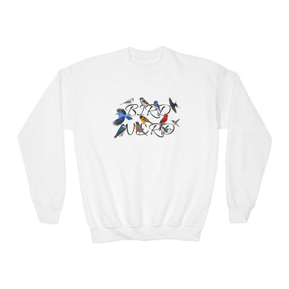 Bird Nerd Blue Jay Oriole Robin Barn Swallow Nuthatch Bird Birdwatching Youth Crewneck Sweatshirt