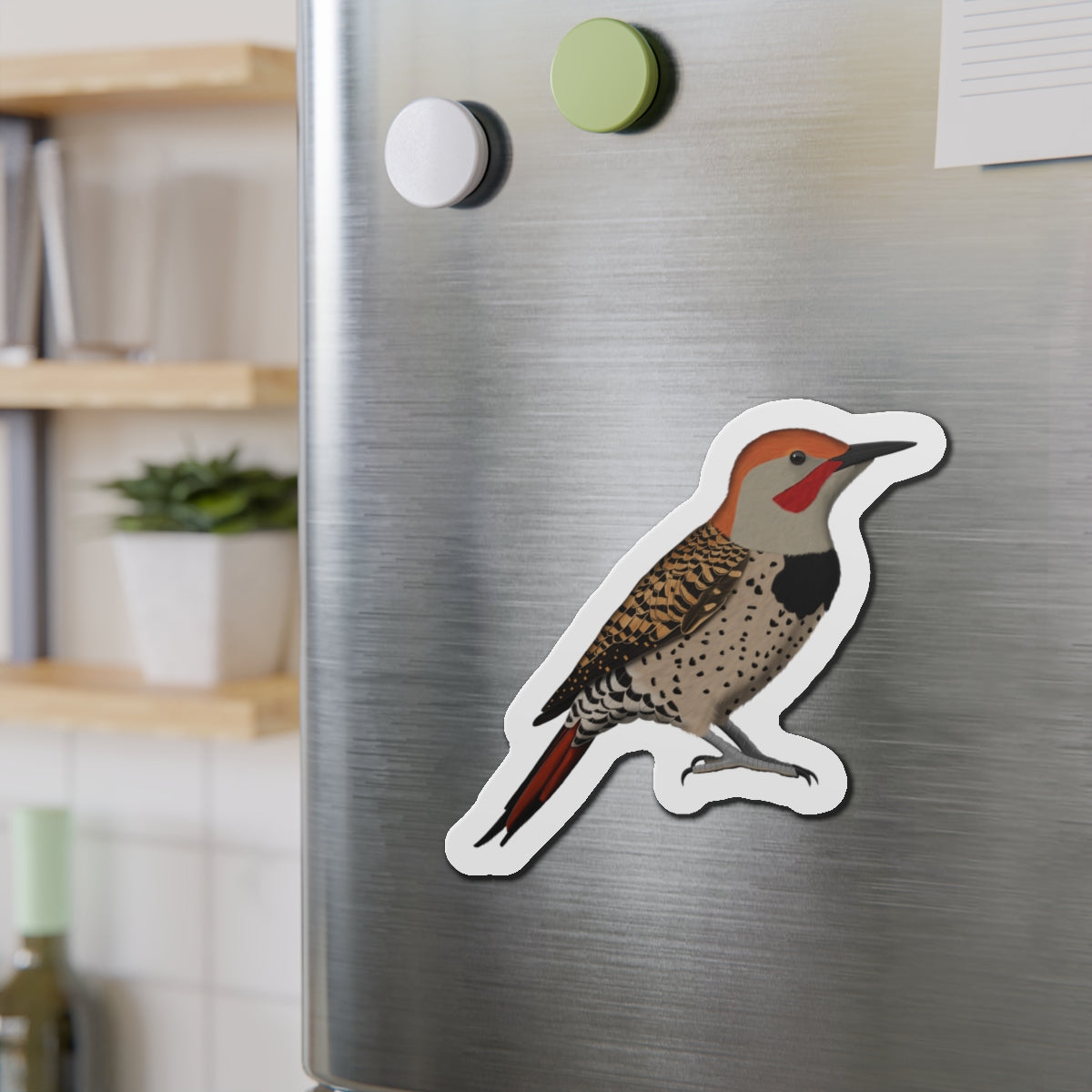 Northern Flicker Bird Magnet