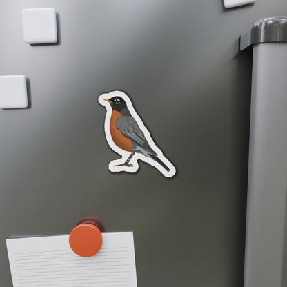 Robin Bird Magnet