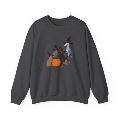 Robin Shoebill Rabbit with Cat Happy Halloween Birds Sweatshirt