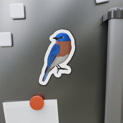 Bluebird Bird Magnet