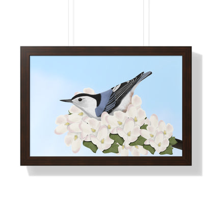 Nuthatch Spring Blossoms Bird Framed Poster