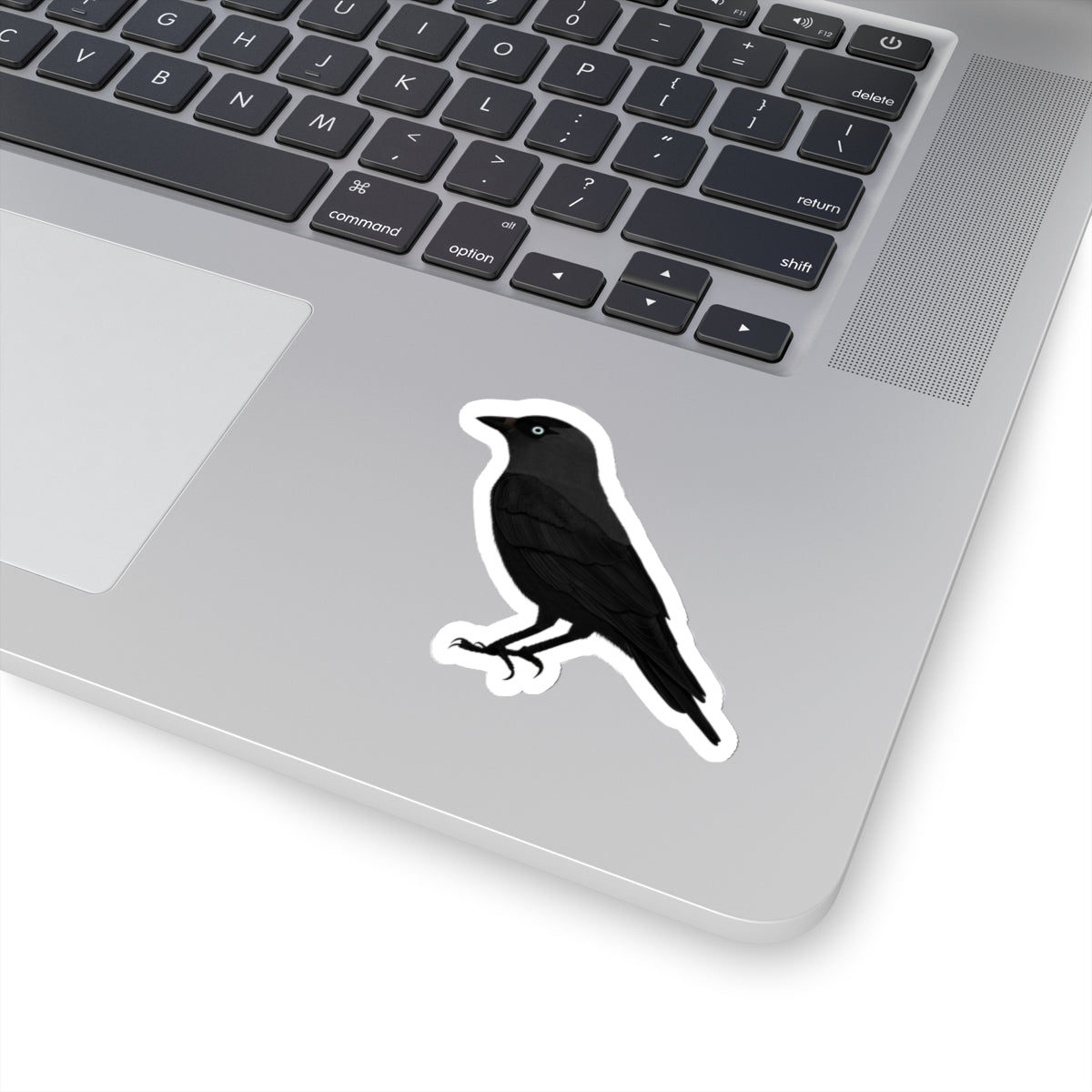 Western Jackdaw Bird Kiss-Cut Sticker