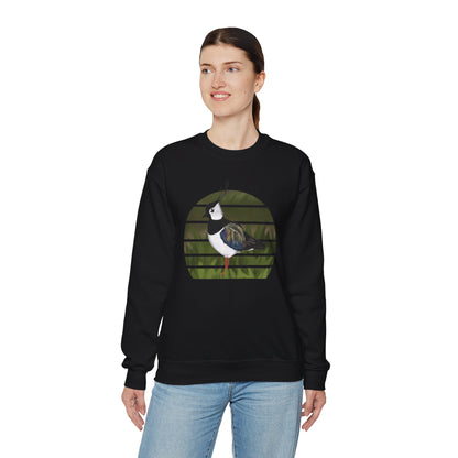 Northern Lapwing Birdlover Ornithologist Bird Sweatshirt