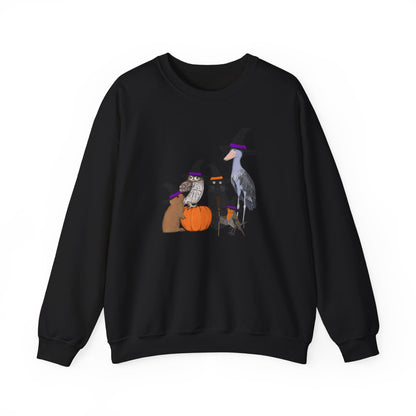 Robin Shoebill Owl Rabbit with Cat Happy Halloween Birds Sweatshirt