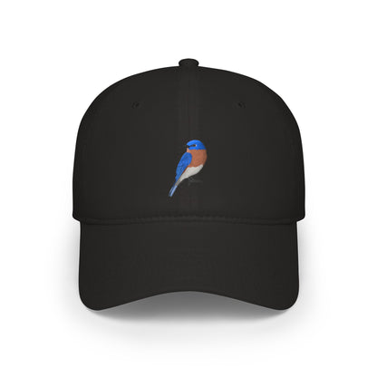 Bluebird Hat – black, One size, Twill