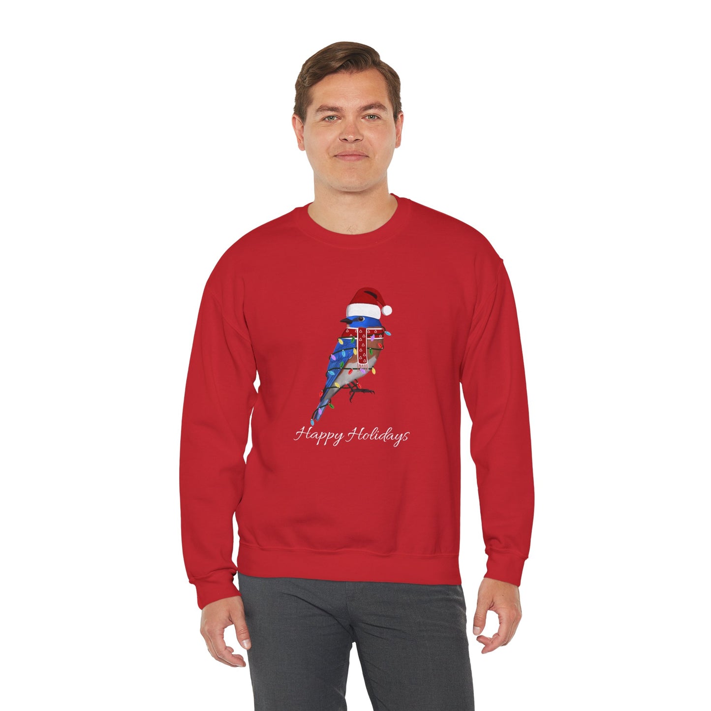 Bluebird with Fairy Lights as Santa Happy Holidays Birdwatcher Christmas Bird Sweatshirt