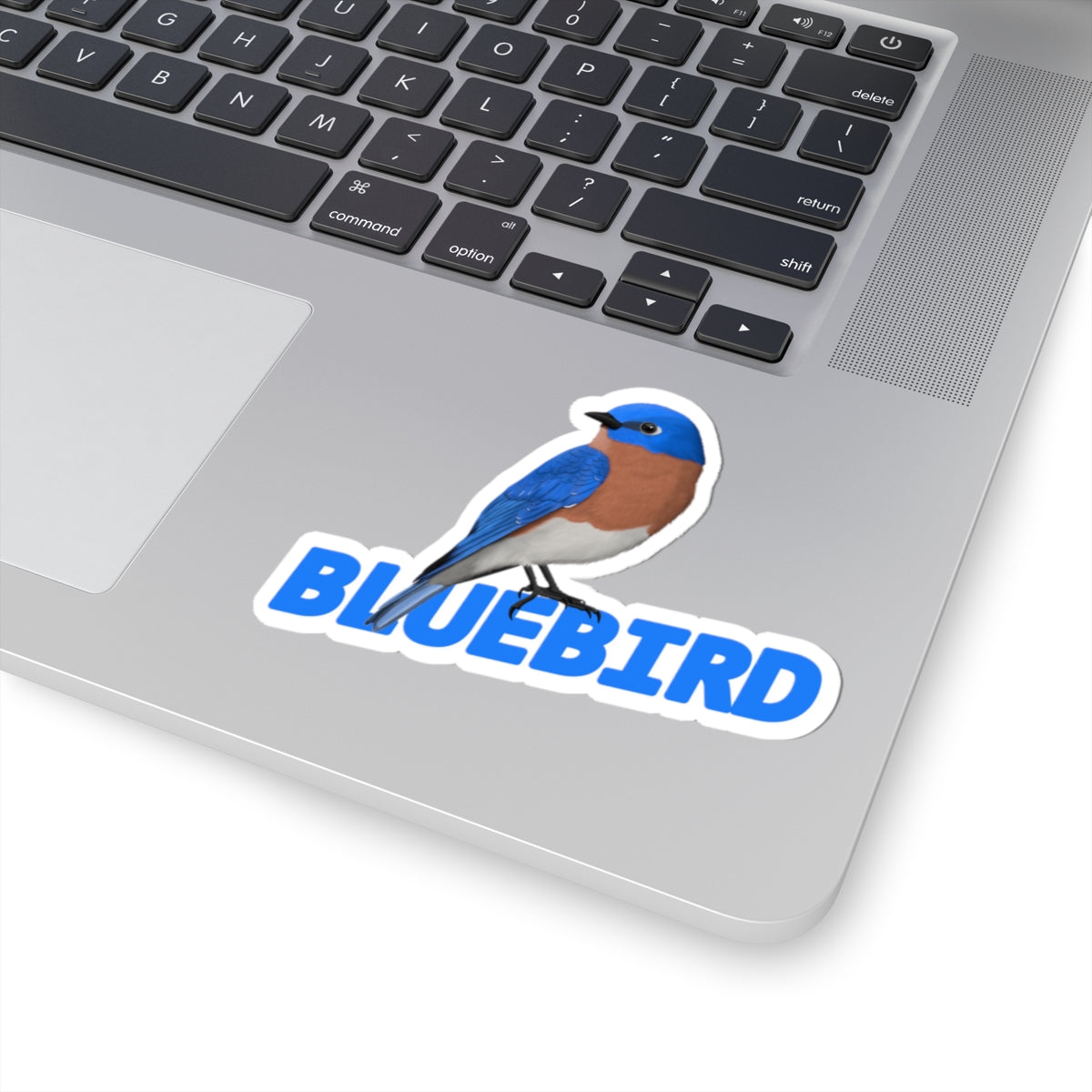 Bluebird Sticker Bird Lover & Bird Watcher