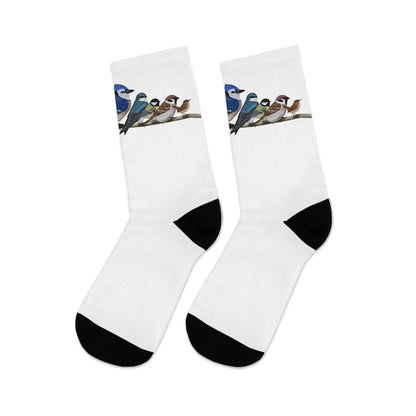 Garden Birds Blue Jay Cardinal Bullfinch Birding & Birdwatching Bird Socks White