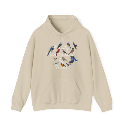 Easily Distracted by Birds Blue Jay Cardinal Hummingbird Hoodie