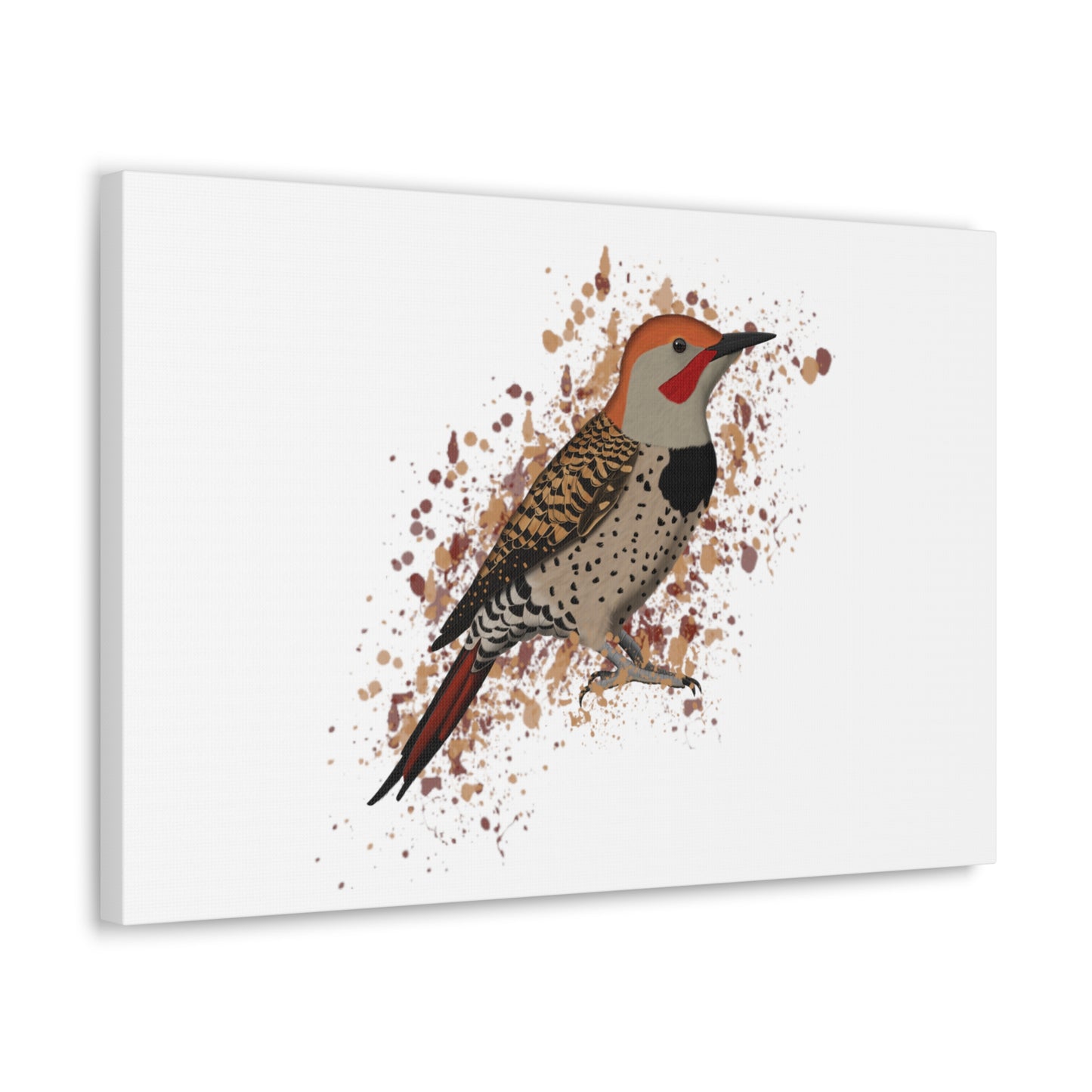 Northern Flicker Bird Canvas Gallery Wrap White