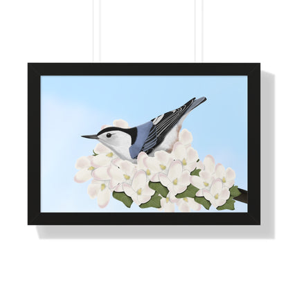 Nuthatch Spring Blossoms Bird Framed Poster